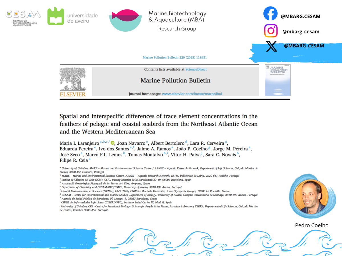 Pedro Coelho 👨‍🔬 collaborated in a study that highlighted the importance of seabirds 🐤 as indicators of trace element #contamination  from less to more #urbanised marine areas 🌊.
 doi.org/10.1016/j.marp…
#cesam_univ
@cesam_univ