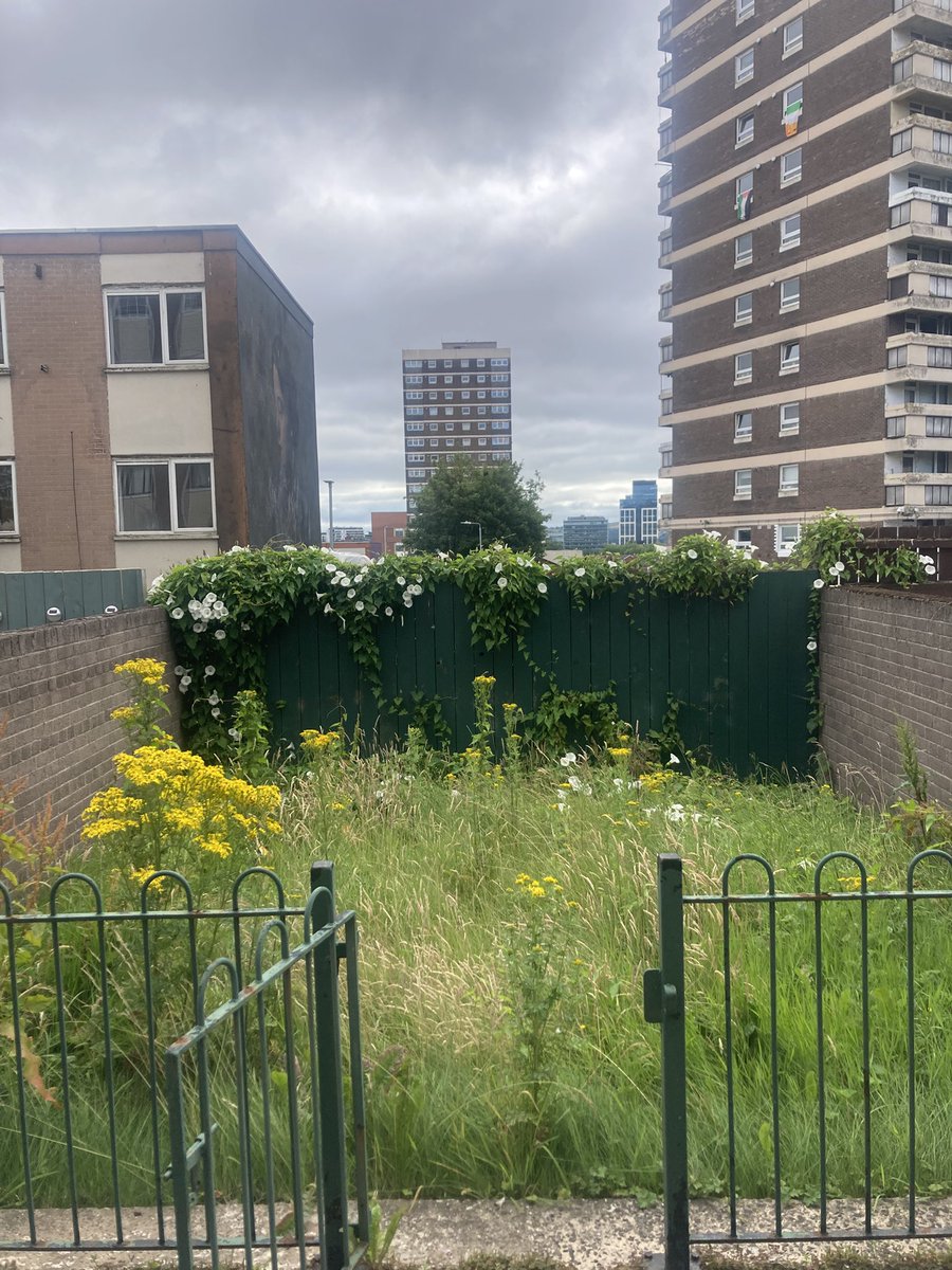 artilleryyc's tweet image. A residents garden and a public walkway this morning in the heat. Lads are off to the Bosco Cafe for a bit of lunch. Thanks for all the kind messages of support….