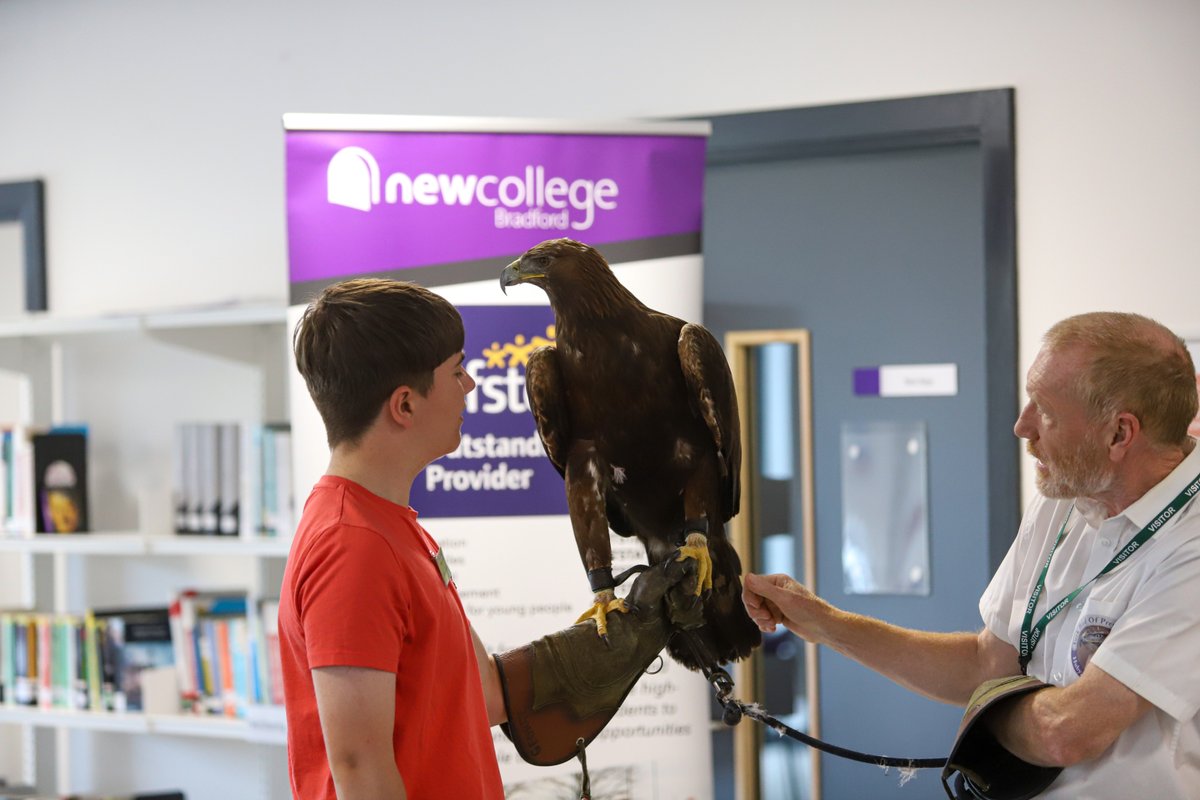 NewColBradford's tweet image. York Birds of Prey have landed in the ISC today, showcasing their stunning collection — including a massive golden eagle! 🦅 Students have been learning fascinating facts about each bird and even got the chance to hold them!