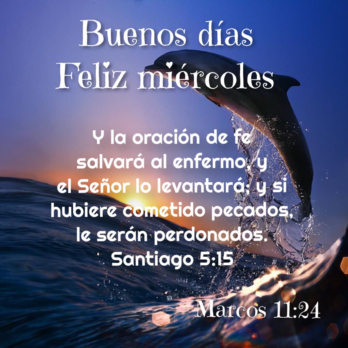 #BuenosDías
#FelizMartes
#Biblia
#BibliaDiaria
#TareaDelDía #ParaTodaLaVida
“Orar y pedir con fe”
Marcos 11:24
Por tanto, os digo que todo lo que pidiereis orando, creed que lo recibiréis, y os vendrá.