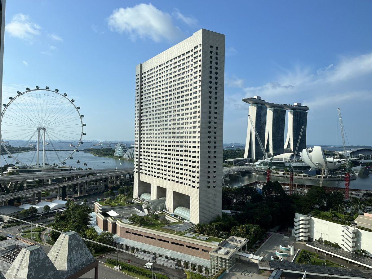 muller_group's tweet image. Goodbye Applied Materials &amp;amp; Interfaces Conference 2025 (#AMIC2025) in #Singapore - it was a great time with exciting presentations, excellent discussions and great exchange with editors and board members, colleagues and friends- thank you!