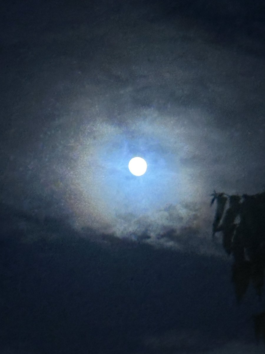 The Hustle gurus Lied to Us… Silence Heals.⁣
⁣
I grew up believing that every single second of your day needed to be productive.⁣
⁣
They called it NET time —> No Extra Time.⁣
⁣
Driving? Listen to an audiobook.⁣
Walking? Make it a podcast.⁣
Even on the toilet? Learn a new