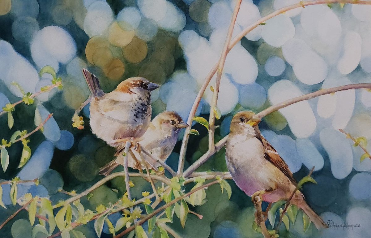 Sulu boya/Watercolor
38x56 cm. Ruhiye Yalgın