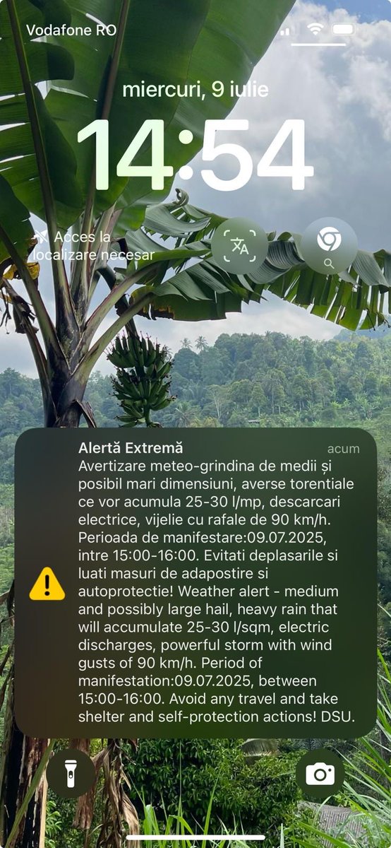 Dana Minodora tweet media