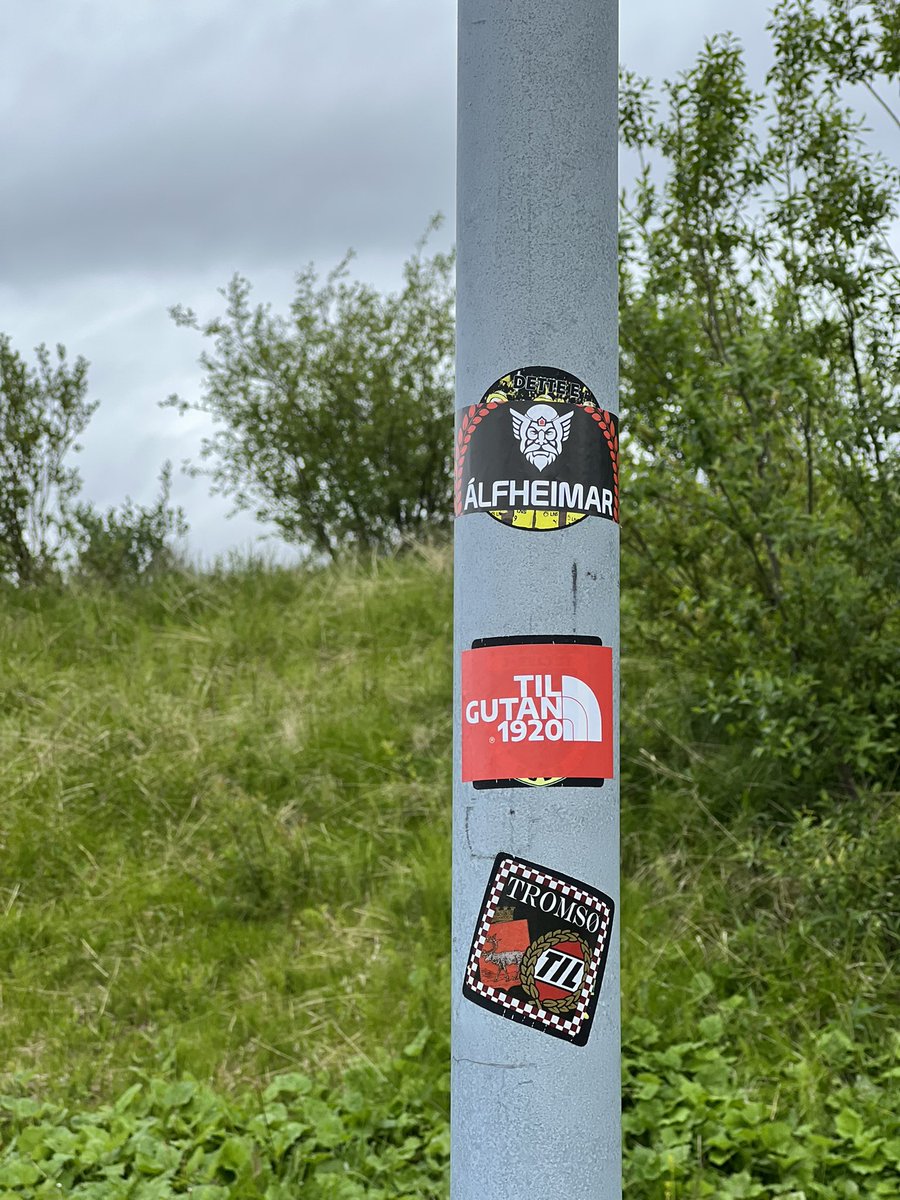 TILtema tweet media