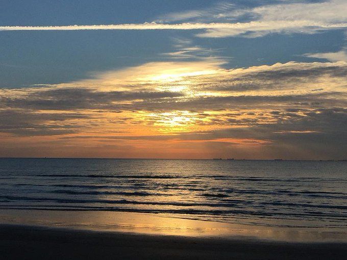 SaltyDGalveston's tweet image. Galveston sunrises are amazing.