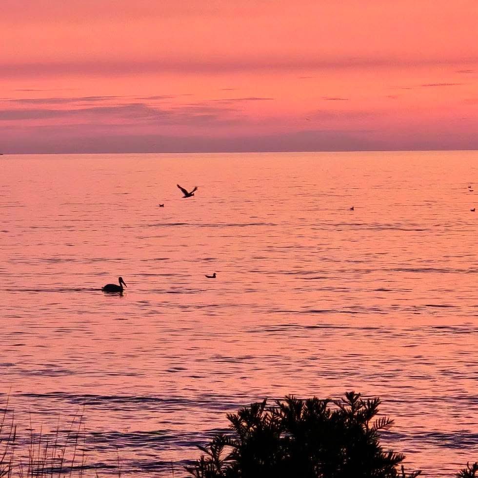 It's gonna be a great day!

Happy Wednesday, Friends! Rooting for you!