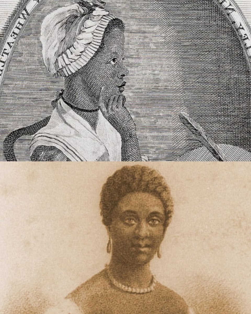 ثريد

في عام 1753، وُلدت فتاة إفريقية صغيرة في غرب إفريقيا، وغالبًا في منطقة السنغال أو غامبيا. لم يُعرف اسمها الحقيقي، لأن حياتها كما عرفها العالم بدأت عند الكا*رثة… وهي لم تتجاوز سن السابعة.

فضل التغريدة❤ وتابع السرد ...