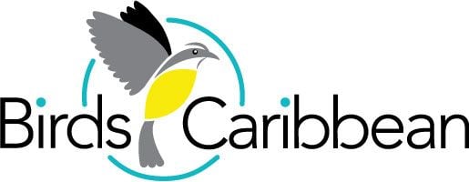 Seabirders's tweet image. 🌊 New @BirdsCaribbean Newsletter Alert! 🌊
Dive into the 2025 BirdsCaribbean Seabird Working Group’s latest newsletter. Catch up on vital research, conservation wins, restoration efforts, and education across the Caribbean:
bit.ly/SWG-Newsletter…
#seabirdwork #Seabirds