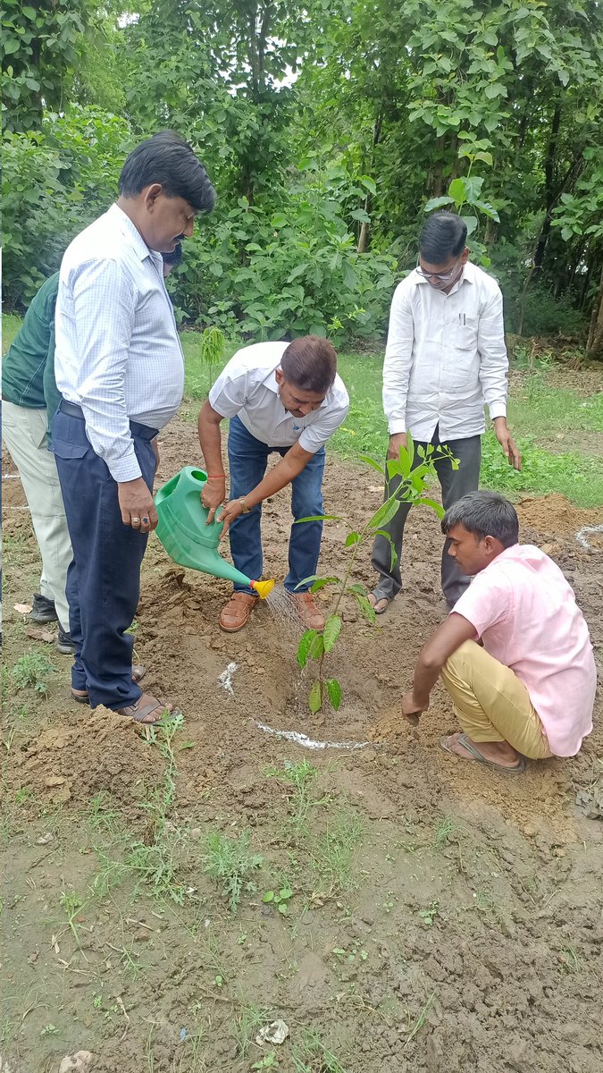 "एक पेड़ मां के नाम" वृक्षारोपण महाअभियान के अंतर्गत आज दिनांक 09/07/2025 को सचिव गन्ना समिति अरनीखाना व ज्येष्ठ गन्ना विकास निरीक्षक खंभारखेड़ा के साथ गन्ना समिति अरनीखाना के खाद गोदाम-खीरी के प्रांगण में वृक्षारोपण किया।
