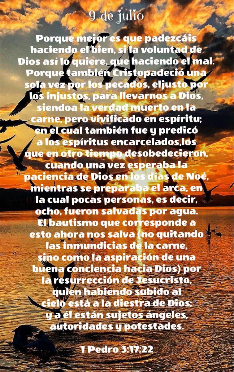 1 Pedro 3:17
Porque mejor es que padezcáis haciendo el bien, si la voluntad de Dios así lo quiere, que haciendo el mal.

#BuenosDías
#FelizMiércoles
#9DeJulio
#Julio2025
#Biblia
#BibliaDiaria