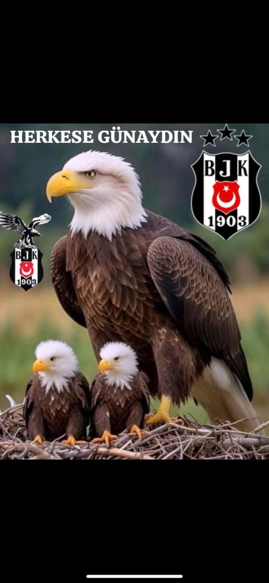Tuncay (@tuncay380111208) on Twitter photo 