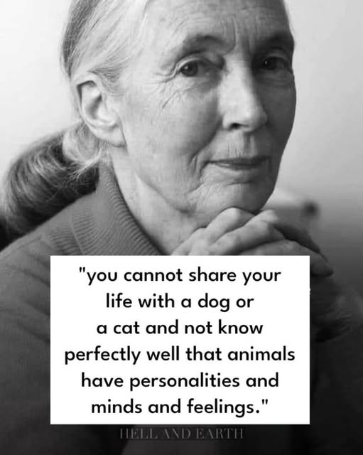 Papa Woof und Krampus und Bleaken (@woofknight) on Twitter photo 