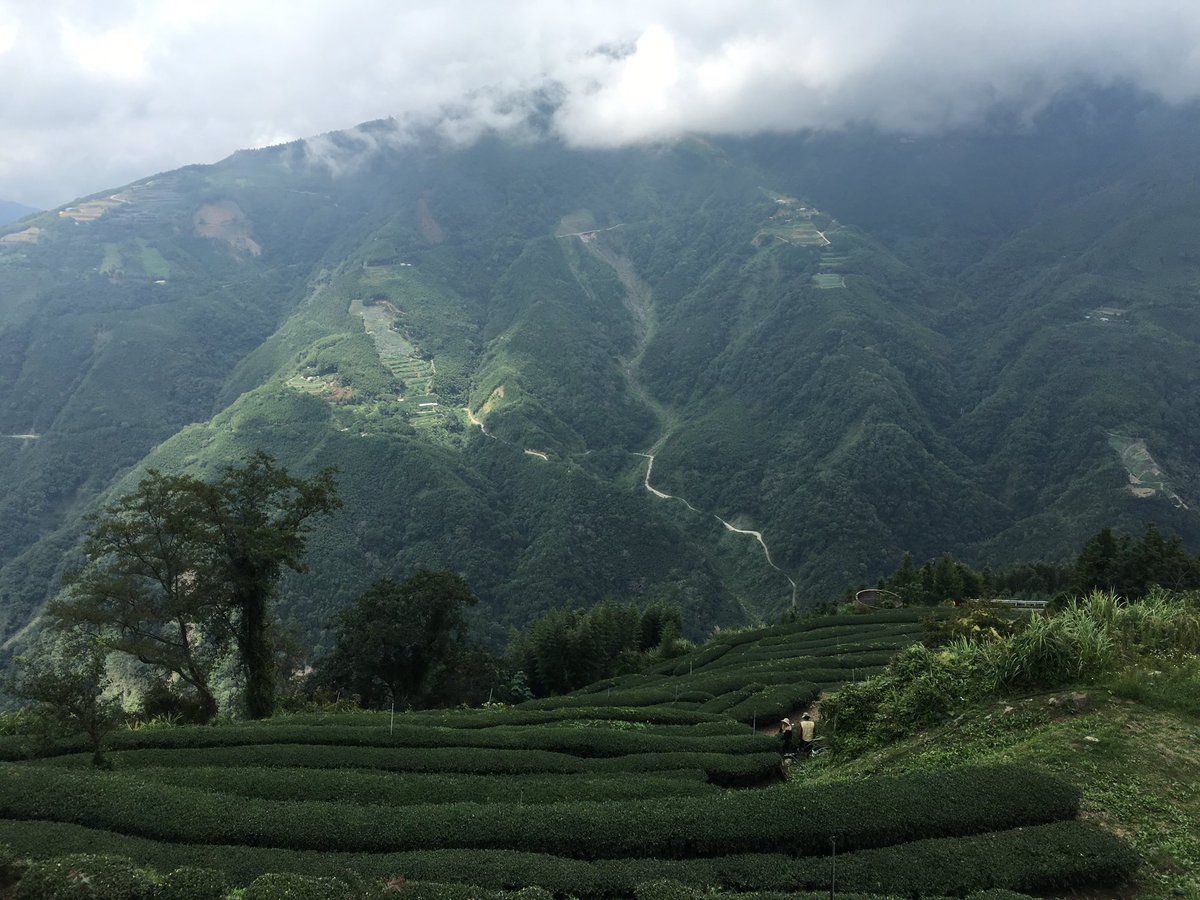 你知道當工具人最悲哀的是什麼嗎？

不是買早餐、修電腦、幫搬家這些瑣事，
是她高潮了，我變離線了！

明明前一秒還是「寶貝你好厲害、沒有你我不行」，
結果一收完工，下一秒就變成「我覺得我們只是朋友」。