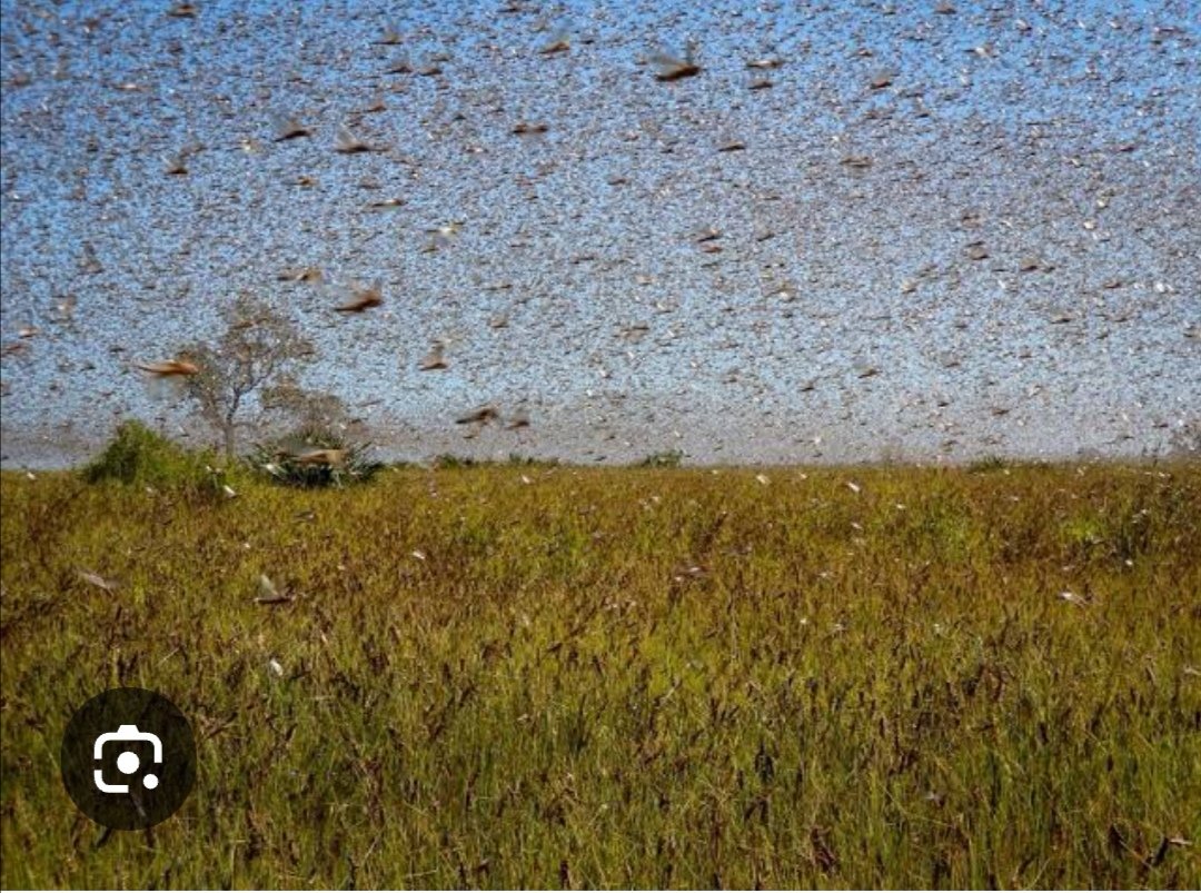 This is Ramafrogboiler, Fixfokol &amp; Comrats. One big wave of BEE destruction.