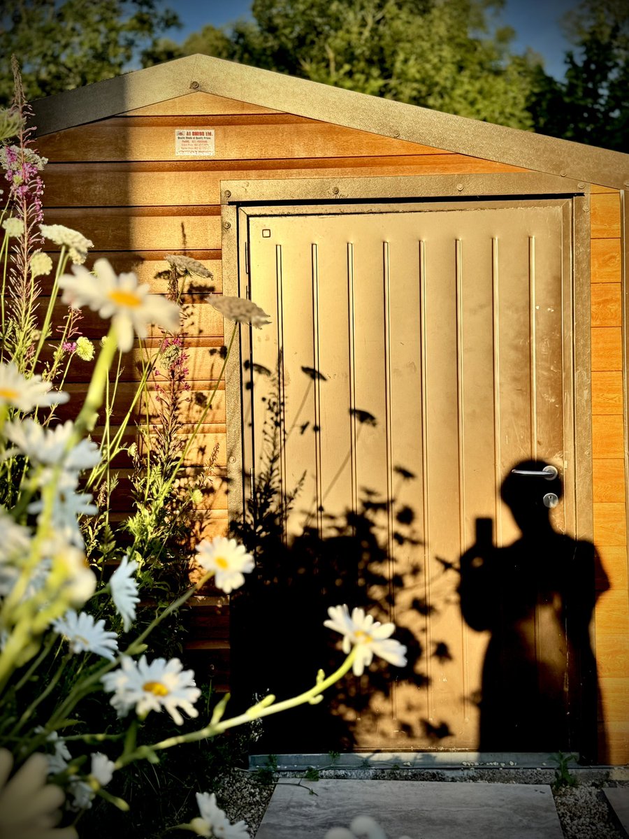 EleanorSully's tweet image. #goldenhour in the garden