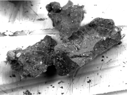 Science_Release tweet picture