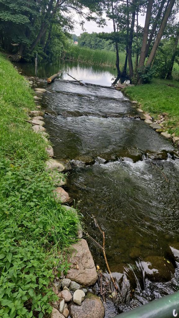 Thomas Scholz (@thomass36707247) on Twitter photo 