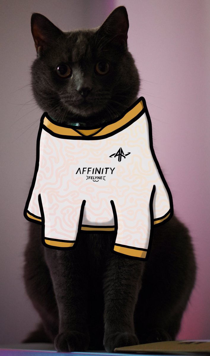 Suki is (totally) representing, are you? 🐱

store.teamaffinity.uk

#WeAreAffinity