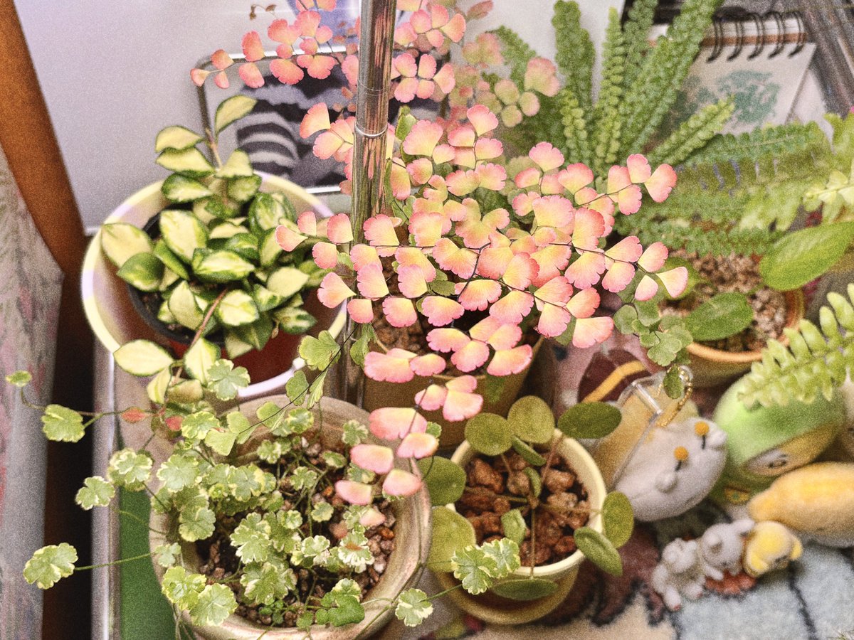 요즘 이 구간 너무 좋네