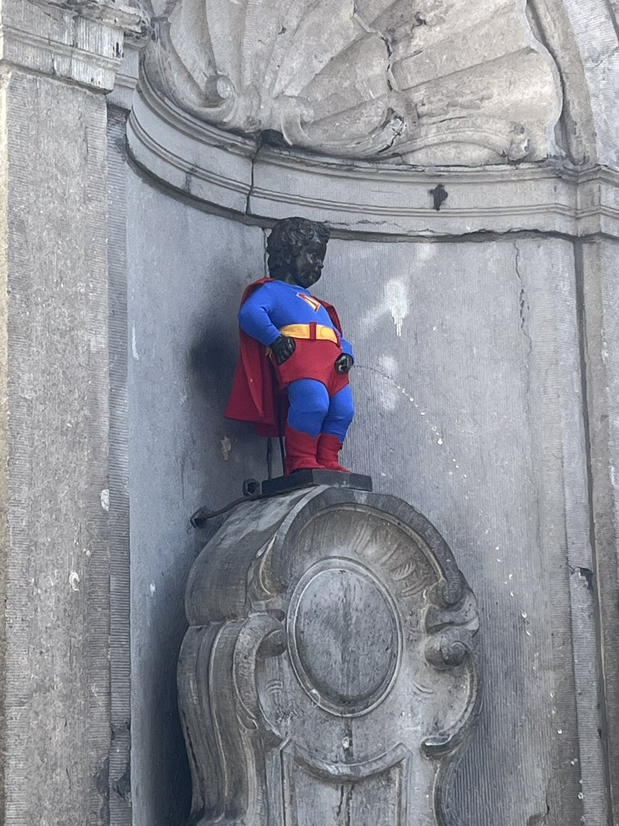 alfieboon2001's tweet photo. 😂They have put a costume on him today #Bussels #NeedAWee https://t.co/bTwsFw8wA6