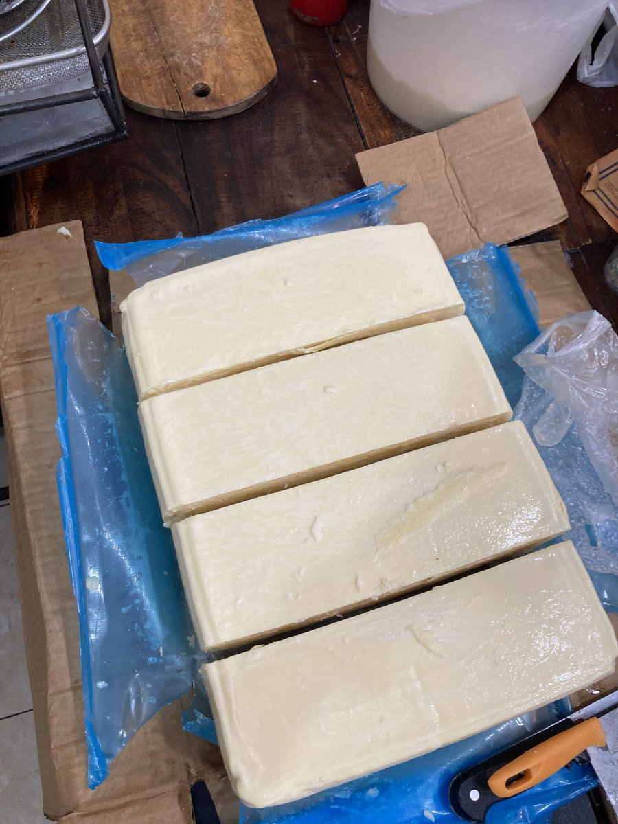 Top tier selama berdagang,iso tuku moza rego mio ✨