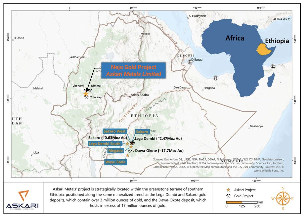addisstandard's tweet photo. #Ethiopia: Askari Metals expands African footprint with #Nejo #Gold acquisition

The tightly held Askari Metals Ltd has taken a significant step in its African growth strategy with the acquisition of the advanced-stage Nejo Gold Project in central-western Ethiopia.

The company has secured 100% of the issued capital of Xingxu Mining International Investment Co Ltd, a Hong Kong-based entity that owns the Nejo Project, through a binding share purchase agreement with Xingguang Group Ltd. 

The acquisition gives Askari full ownership of the 1,174-square-kilometre tenement on the underexplored but highly prospective Arabian-Nubian Shield, which is a highly prospective geological region known for its significant gold endowment, hosting large-scale multi-million-ounce discoveries across Egypt, Sudan, Eritrea, Ethiopia, Saudi Arabia and Yemen.

The Nejo Project is located in a globally significant gold and copper mineral province and lies within the same greenstone belt as the 3.4-million-ounce Kurmuk Mine, and adjacent to the 1.7-million-ounce Tulu Kapi Mine.

Nejo hosts 10 proven gold targets and spans over 60 kilometres of strike along the Tulu Dimtu Shear Belt. Despite substantial historical exploration, including trenching, soil and rock sampling, and diamond and reverse-circulation drilling, no systematic exploration has been conducted to date.
https://t.co/YeZpAjEcAB
