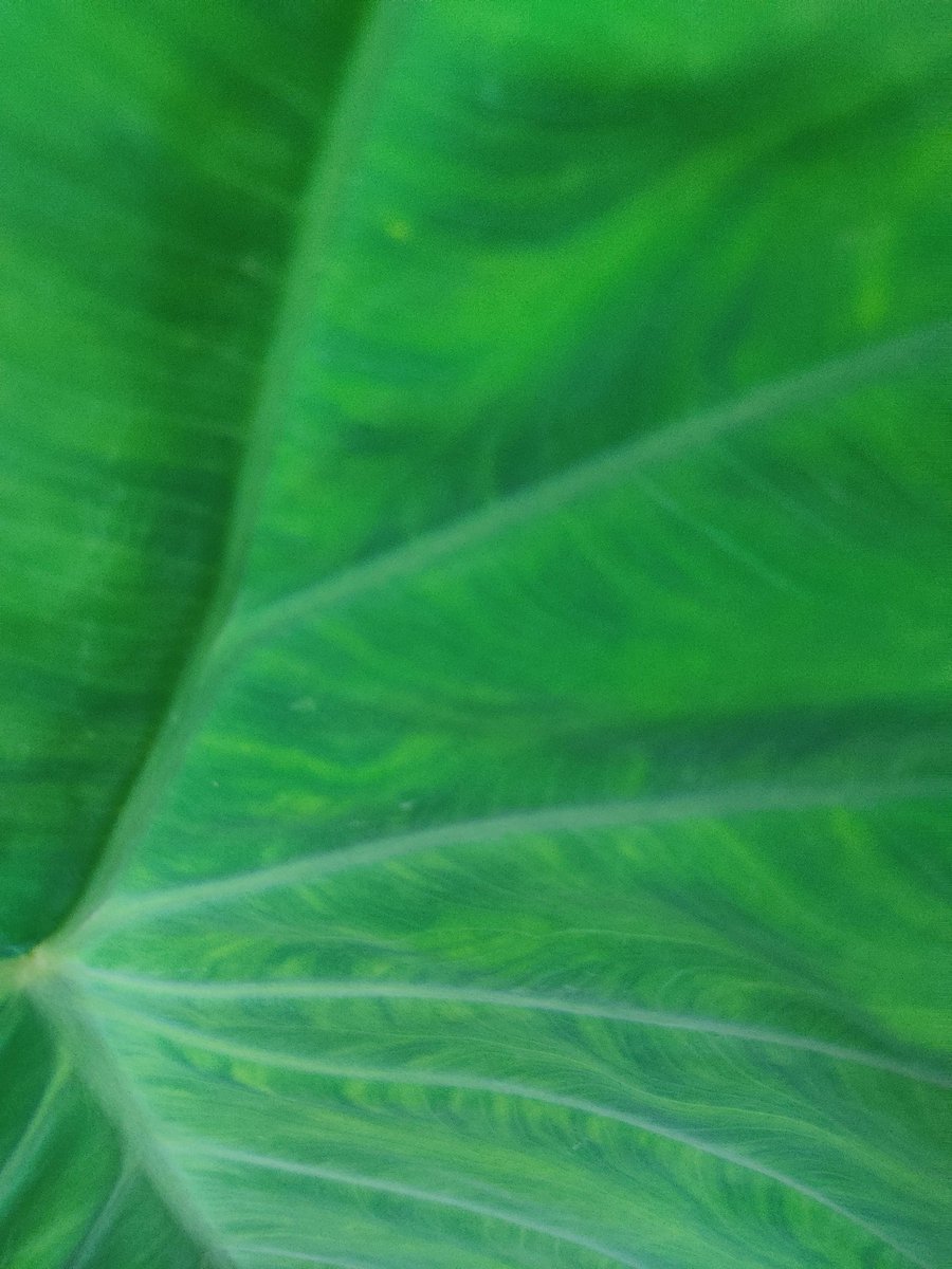 kachhua (@onlypostx) on Twitter photo 