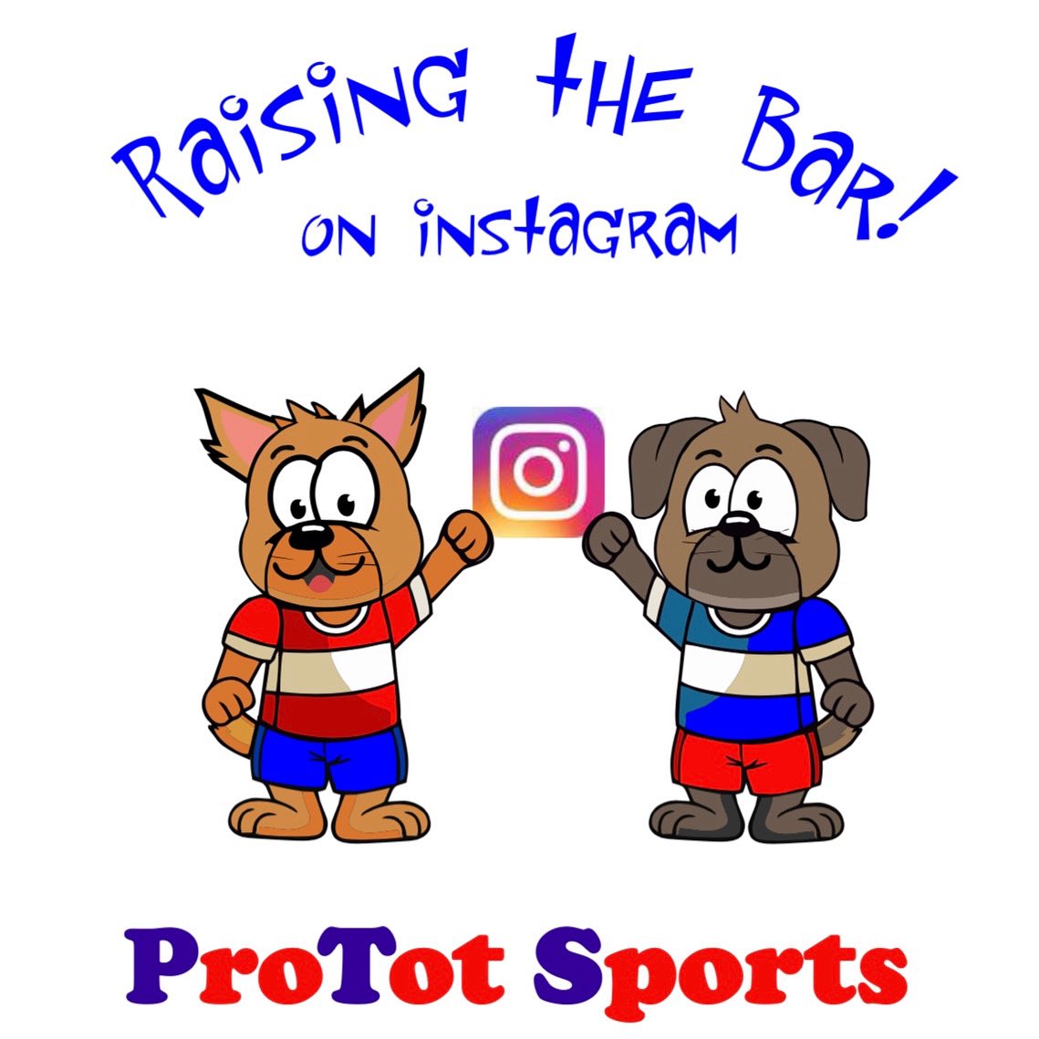 ProTot Sports Ltd tweet media