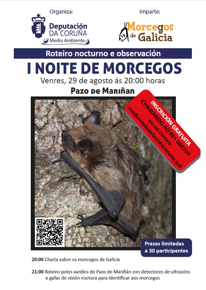 🦇 O Pazo de Mariñán do <a href="/ConBergondo/">Concello de Bergondo</a> acollerá a I NOITE DE MORCEGOS.

Organizada pola <a href="/Depucoruna/">Deputación da Coruña</a>, terá lugar o 29 de agosto a partir das 20:00 h.

O prazo de inscrición xa está aberto chama ao 981 080 704 ou escribe un correo electrónico a medioambiente@dacoruna.gal.