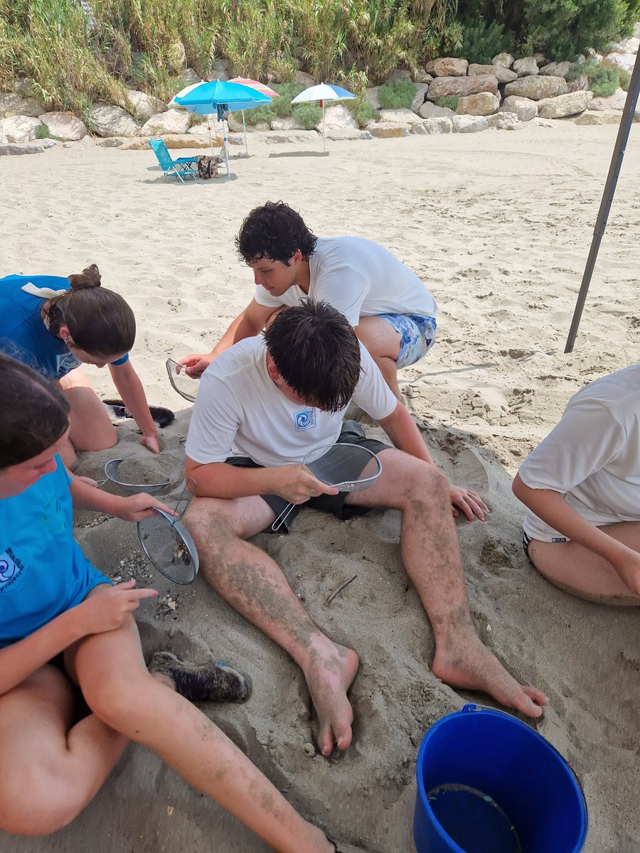 Thornleigh MFL (@tsc_mfl_dep) on Twitter photo 80 kg of waste collected in an hour π± then moved on to microplastic sifting <a href="/thornleigh/">Thornleigh</a> <a href="/NautilusGib/">The Nautilus Project</a> <a href="/TSC_SixthForm/">Thornleigh Sixth Form</a> <a href="/TuringScheme_UK/">Turing Scheme UK</a> 80 kg of waste collected in an hour π± then moved on to microplastic sifting <a href="/thornleigh/">Thornleigh</a> <a href="/NautilusGib/">The Nautilus Project</a> <a href="/TSC_SixthForm/">Thornleigh Sixth Form</a> <a href="/TuringScheme_UK/">Turing Scheme UK</a>