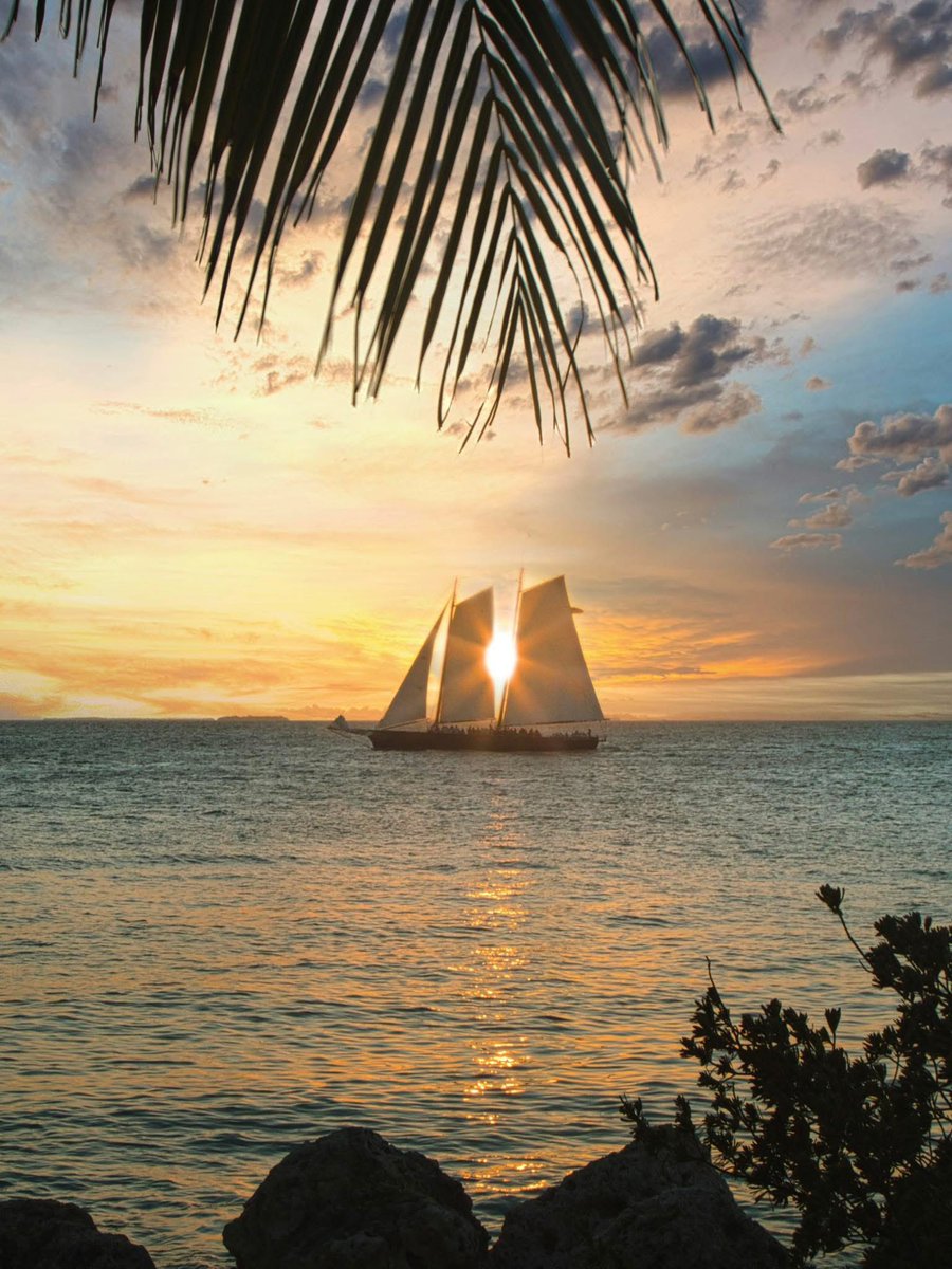 SabbyBentley's tweet image. Gorgeous sunset in Key West, FL ⛵🌅
Happy Wednesday, friends😊