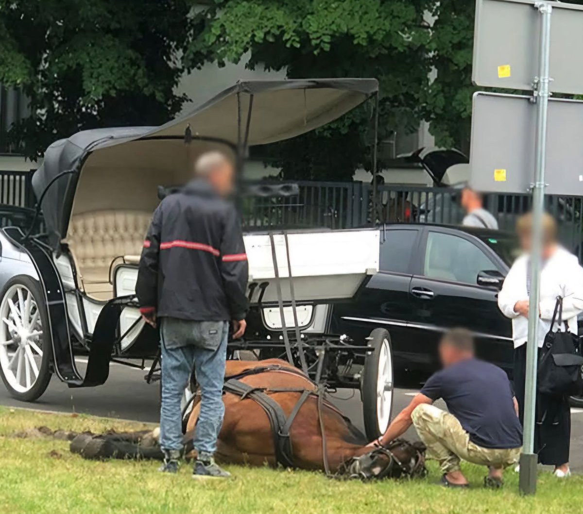 Na promenadzie w Świnoujściu umarł koń ciągnący dorożkę. W upale, stojąc przez wiele godzin na betonie, bez możliwości kontroli własnych zachowań - dorożki w miastach dla turystów to haniebny, anachroniczny biznes.