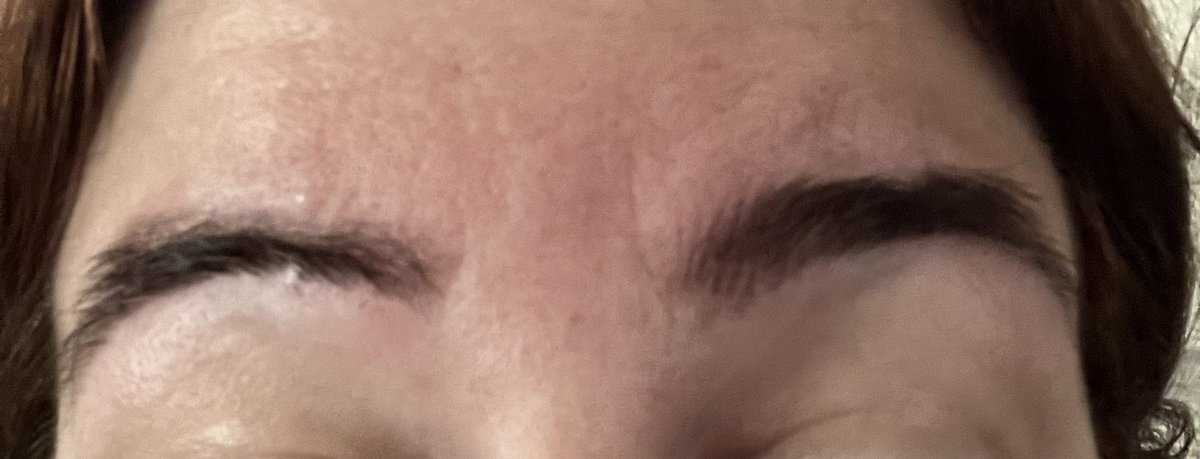MarinaStrasser's tweet image. I get that eyebrows can be cousins rather than sisters but I just got them done and they don’t even speak the same language anymore… #eyebrowfail