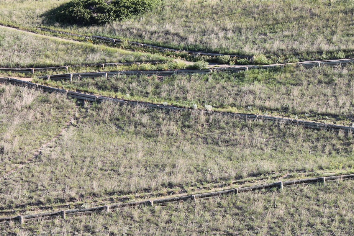 #summer #photography #Lethbridge