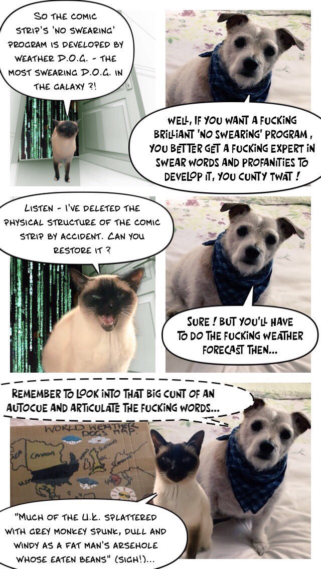 Rachael. - Whimsical Art 7🌞 tweet media