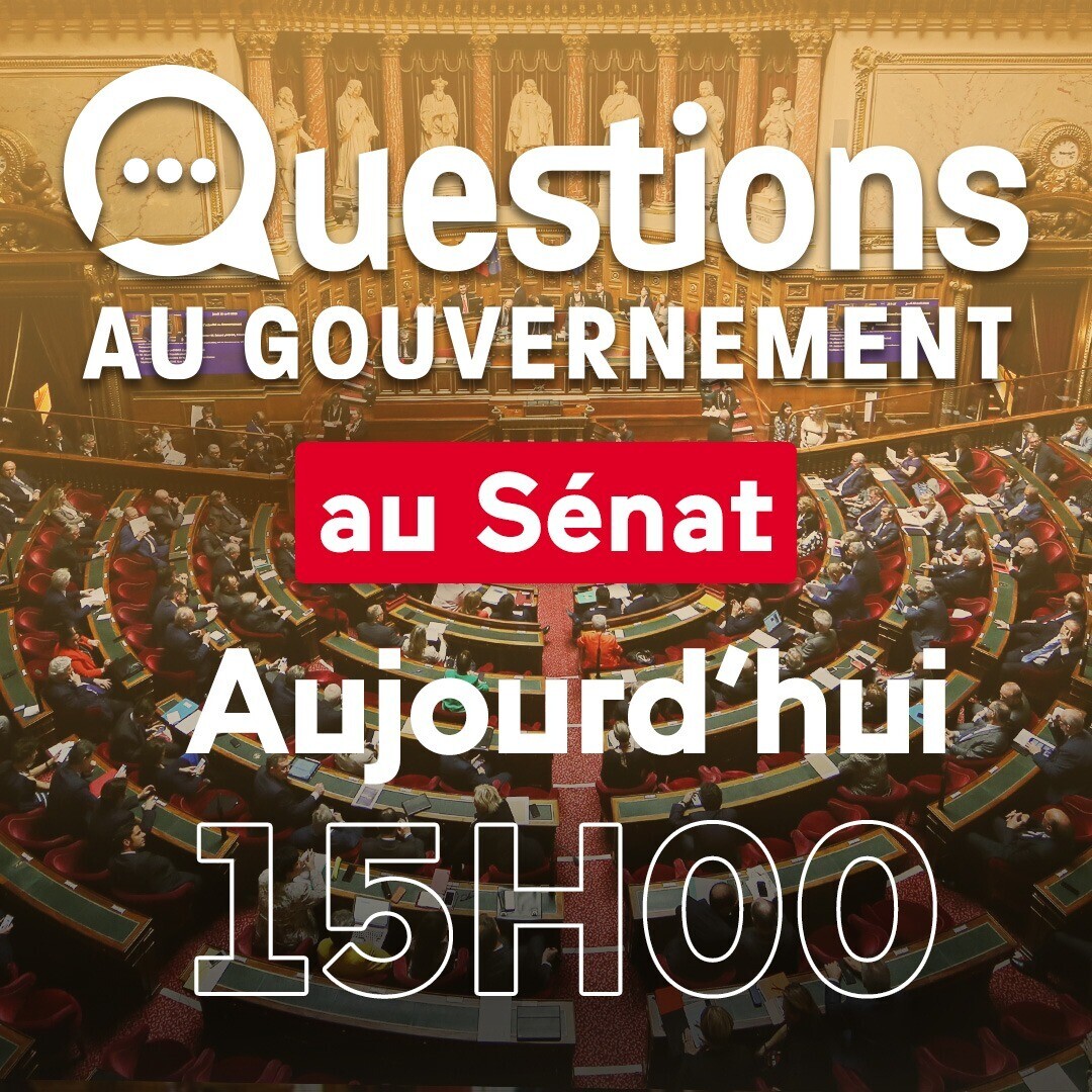 Public Sénat (@publicsenat) on Twitter photo 🎙️#QAG #DirectSenat - Aujourd'hui à 15h, ne manquez pas les Questions au gouvernement
👉 Suivi d'un débrief présenté par <a href="/TamTranHuy/">Tâm Tran Huy</a> 🎙️#QAG #DirectSenat - Aujourd'hui à 15h, ne manquez pas les Questions au gouvernement
👉 Suivi d'un débrief présenté par <a href="/TamTranHuy/">Tâm Tran Huy</a>