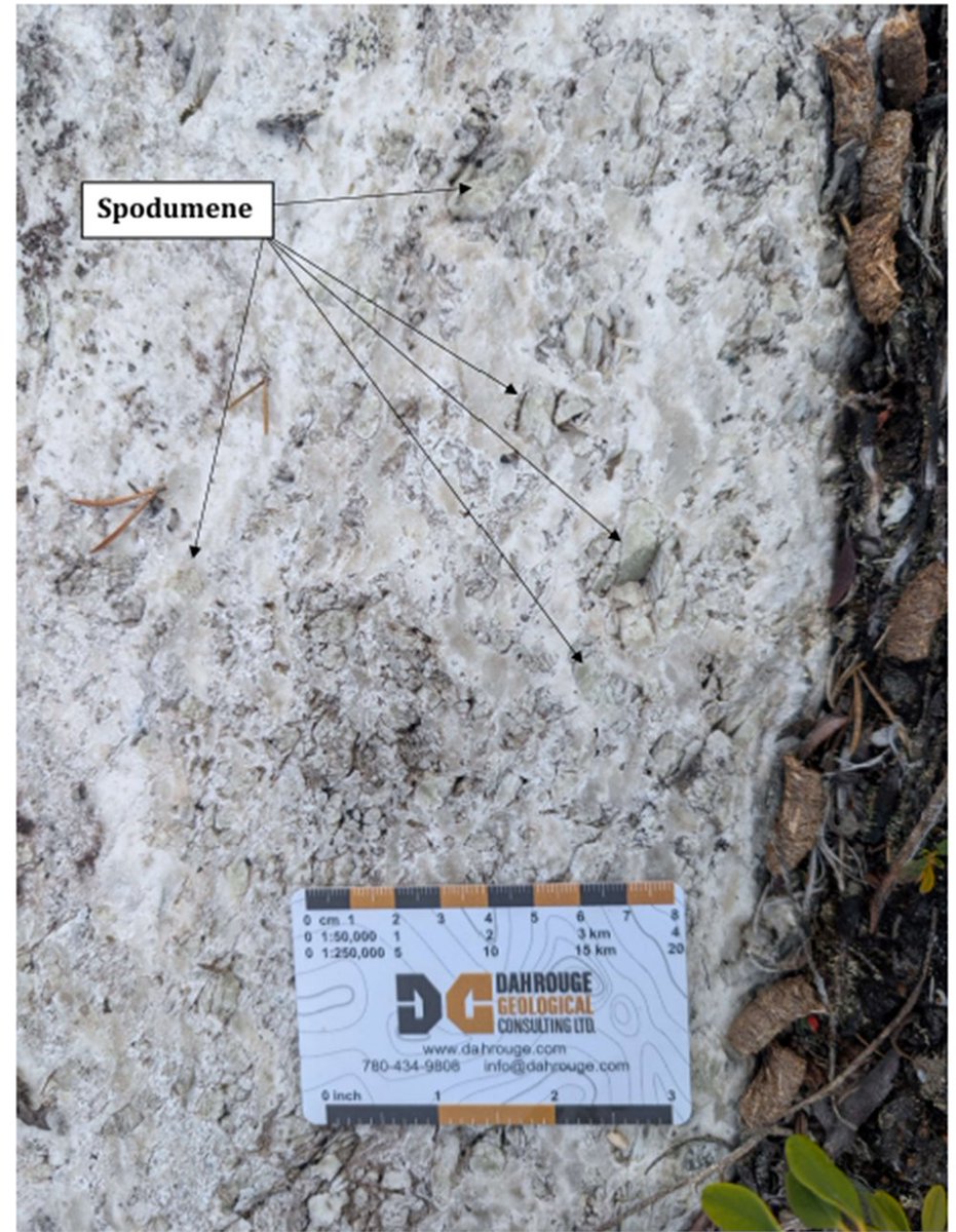CometLithium's tweet image. Comet Lithium Discovers First Spodumene-Bearing Pegmatite at Elmer East Property

cometlithium.com/comet-lithium-…

TSXV: $CLIC | FSE: $8QY | CometLithium.com