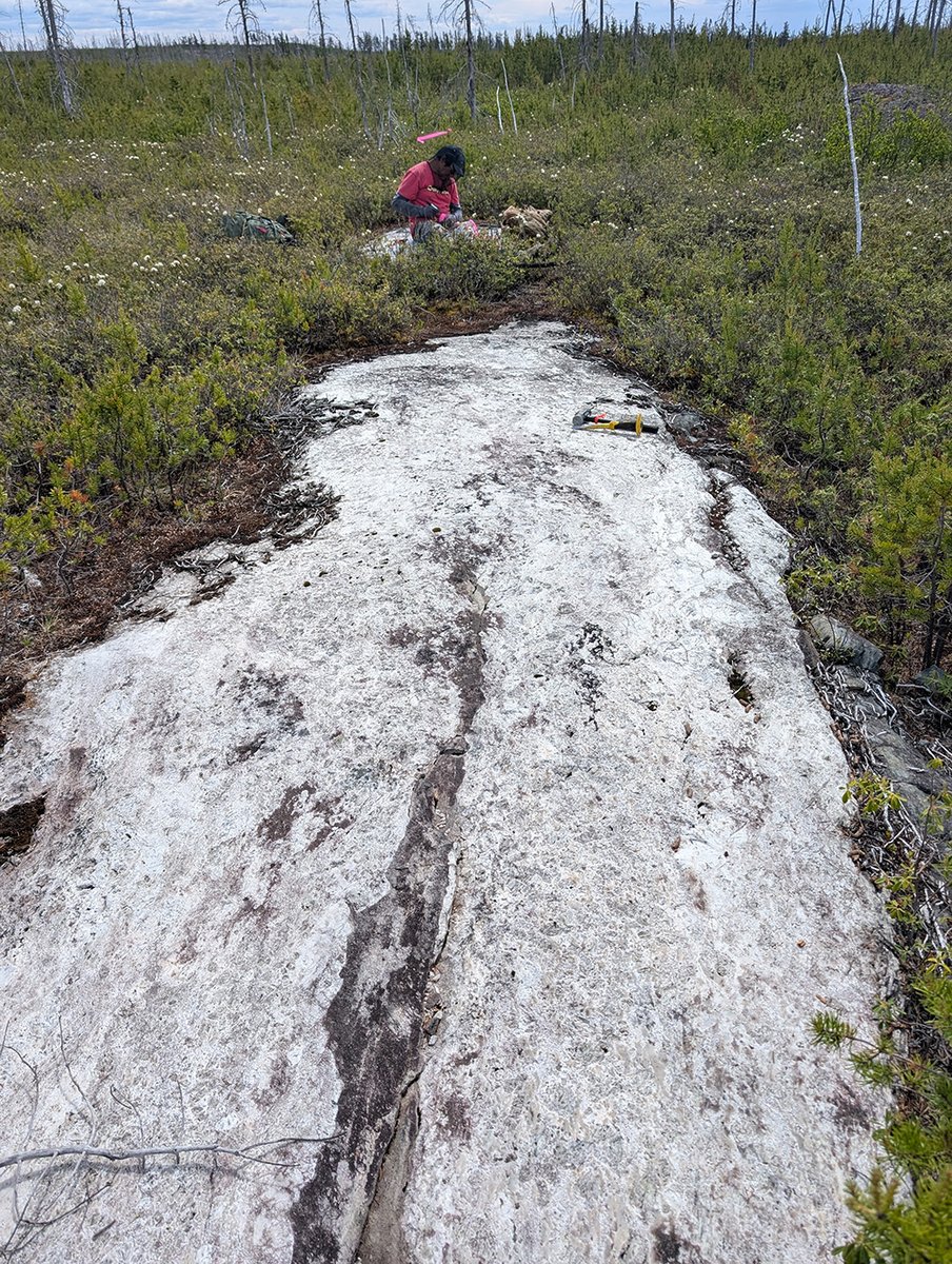 CometLithium's tweet image. Comet Lithium Discovers First Spodumene-Bearing Pegmatite at Elmer East Property

cometlithium.com/comet-lithium-…

TSXV: $CLIC | FSE: $8QY | CometLithium.com
