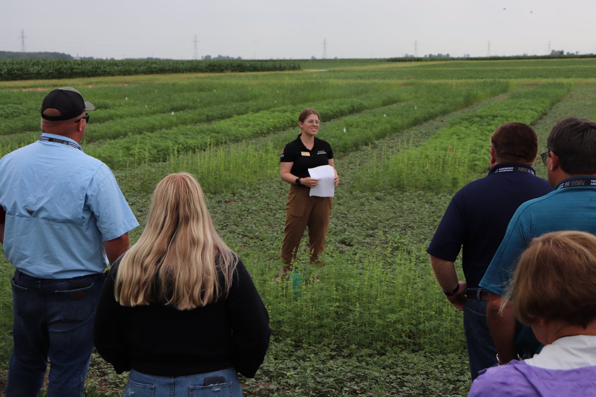 PurdueAgryExt's tweet image. 🔬Research, 🚜Production, & ⚙️Processing are important components of producing Hemp. On 07/30/25, @PurdueExtension + @diversecornbelt will offer a half-day field event at Purdue University. Walk plots, discuss new research, end use & network!
📋Register: purdue.ag/hemp-field-day