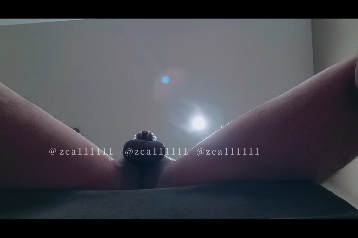 Z. (@zca111111) / Posts / X