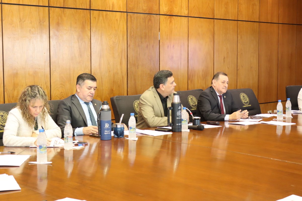 Bajo la presidencia del Dip. Édgar Olmedo (ANR-Caaguazú) inicia la reunión de la comisión especial para el estudio de la situación financiera y la sostenibilidad del sistema de jubilaciones y pensiones del sector público.

📌Participa el equipo técnico del <a href="/MEF_Paraguay/">Ministerio de Economía y Finanzas - Paraguay</a>