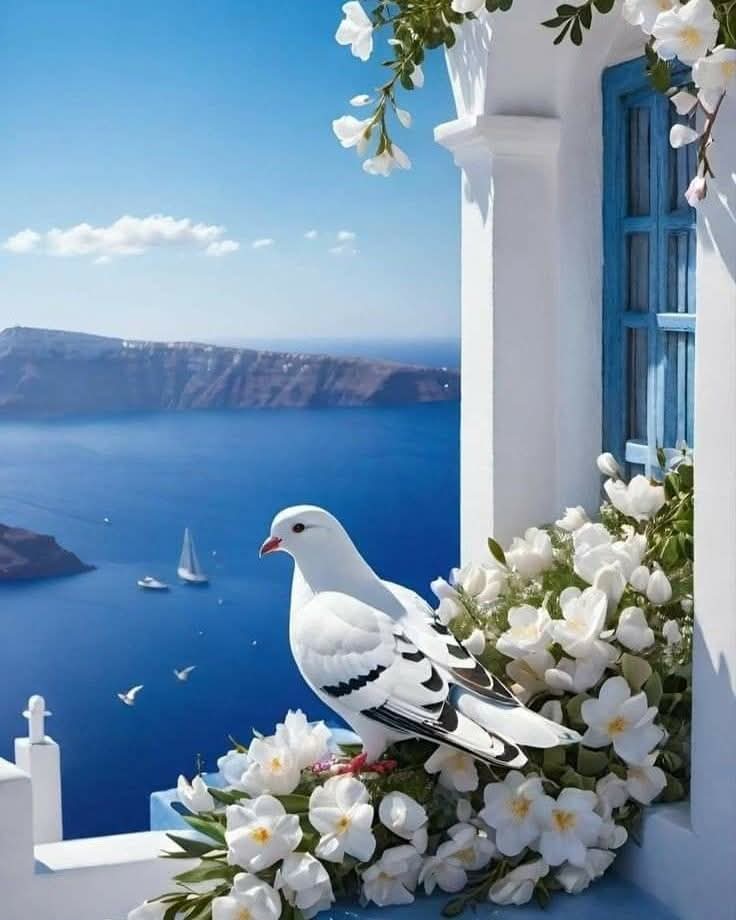 🕊️💜 tweet media