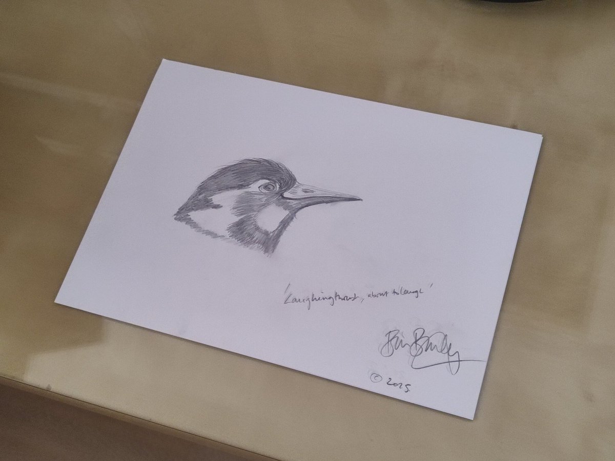 Andrew Wilton ⚛️🎥 tweet media