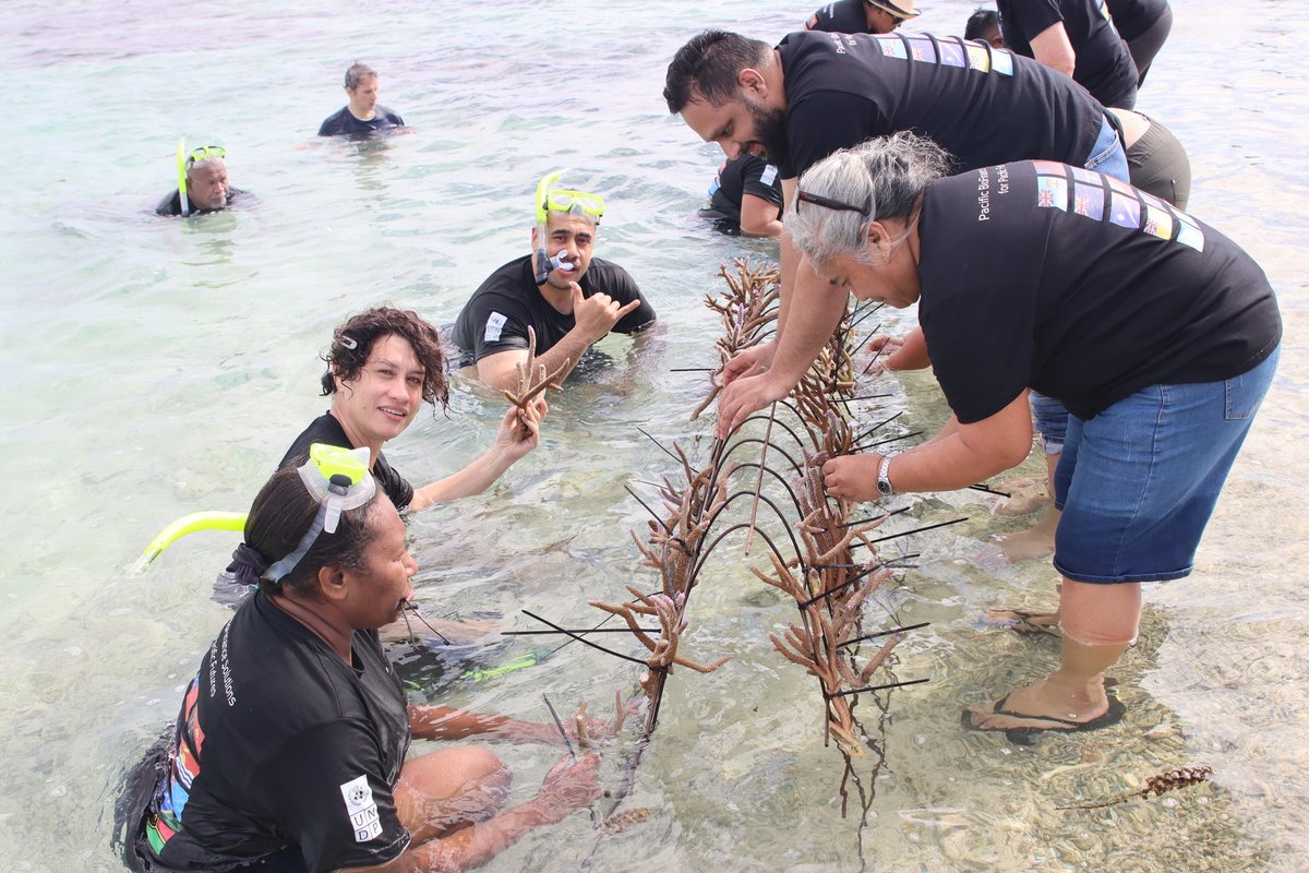 UNDP_Pacific's tweet image. “In 15 years, what will our children eat? So in 2009, we started our tabu area & planted coral. Now we no longer walk far or dive for hours to find fish.” — Manoa Duwai, Naidiri Marine Biodiversity Park.
Day 3 of Pacific #BIOFIN 🇫🇯 was an inspiring visit to the Park! 🌊🌱**