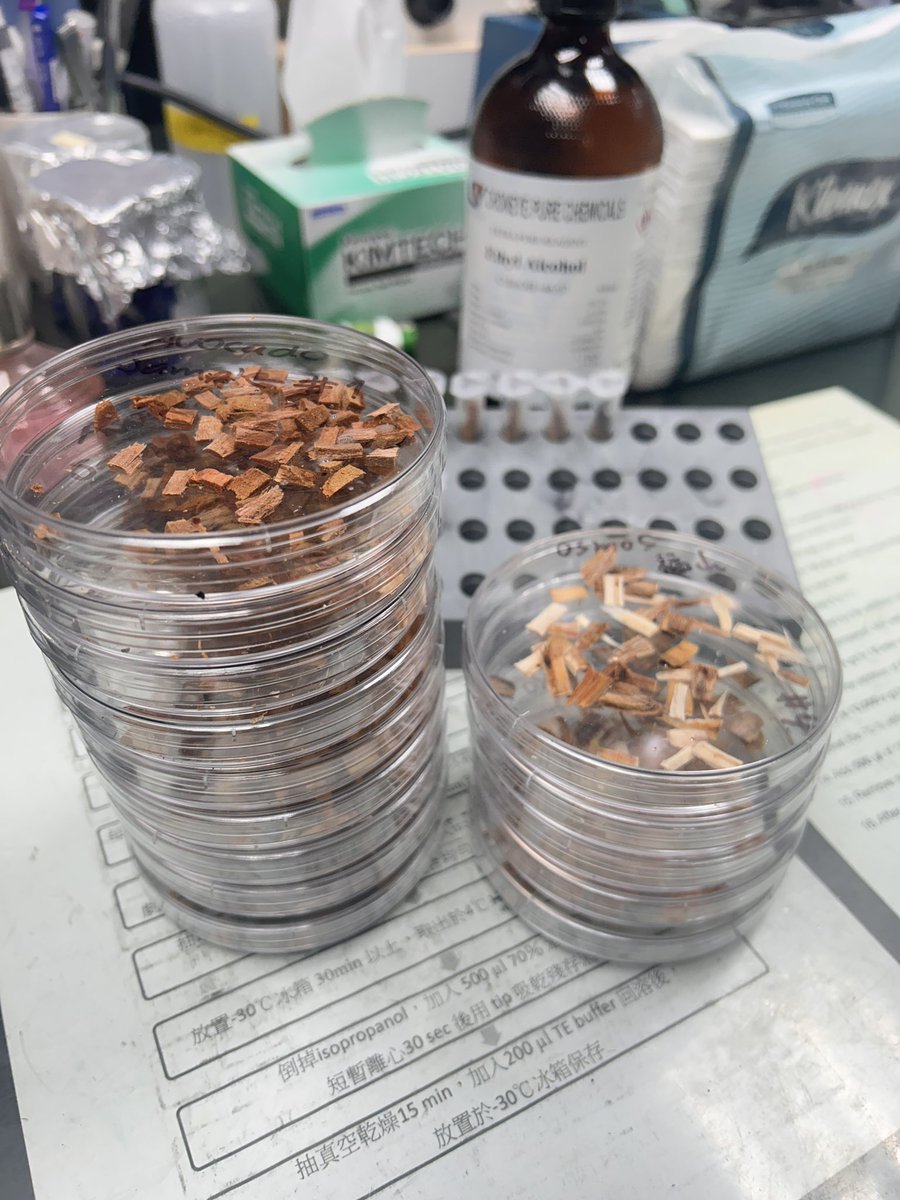 Tropical Plant Clinic & Research Lab tweet media