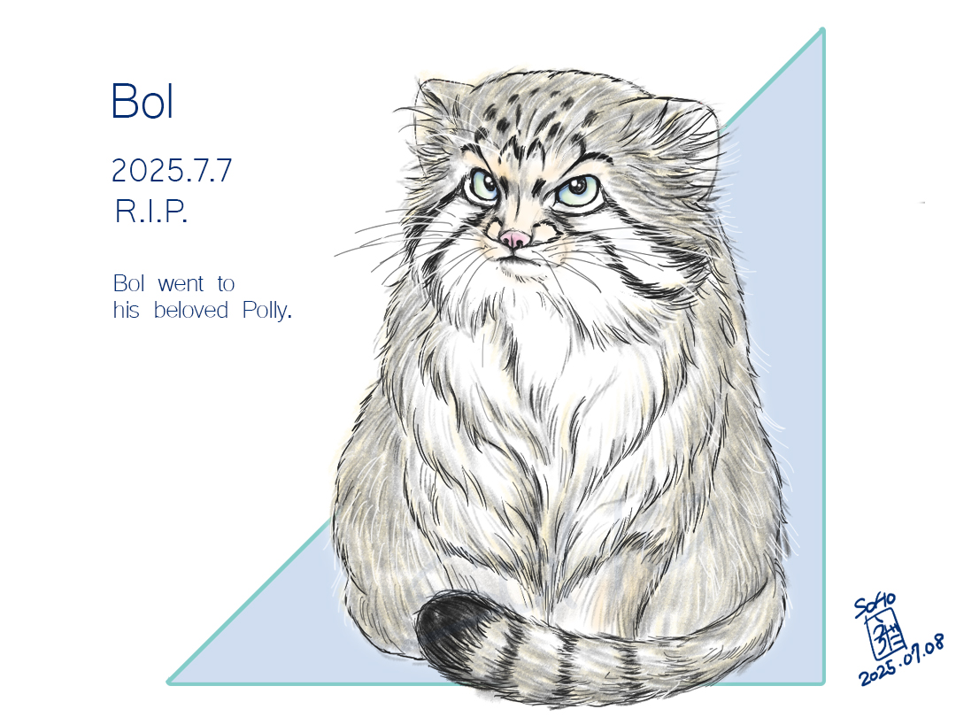 SohoUchida's tweet photo. マヌルイラスト練習中🐱
SNSにボル君が溢れてちょっとうれしい。多くの人に愛されていたんだね😢🌈
#マヌルネコ #manul #Otocolobusmanul #pallascat #Манул #manuli #猫イラスト #Grumpycat #cat #兔狲 #ボル https://t.co/uDimLdWwmZ