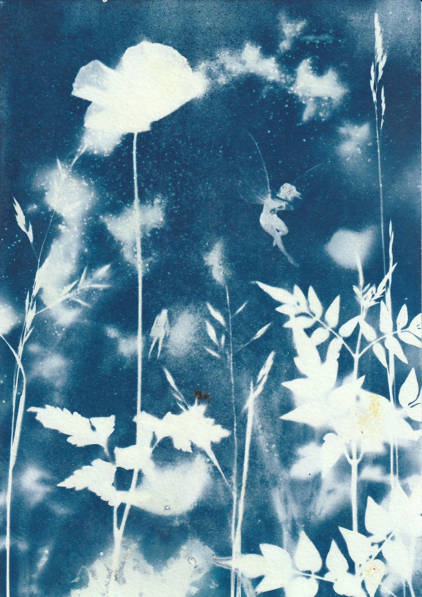 Inverted #cyanotype #Fairies