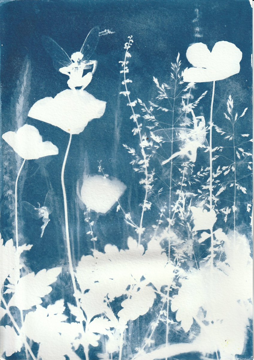 Inverted #cyanotype #fairies #fantasyart