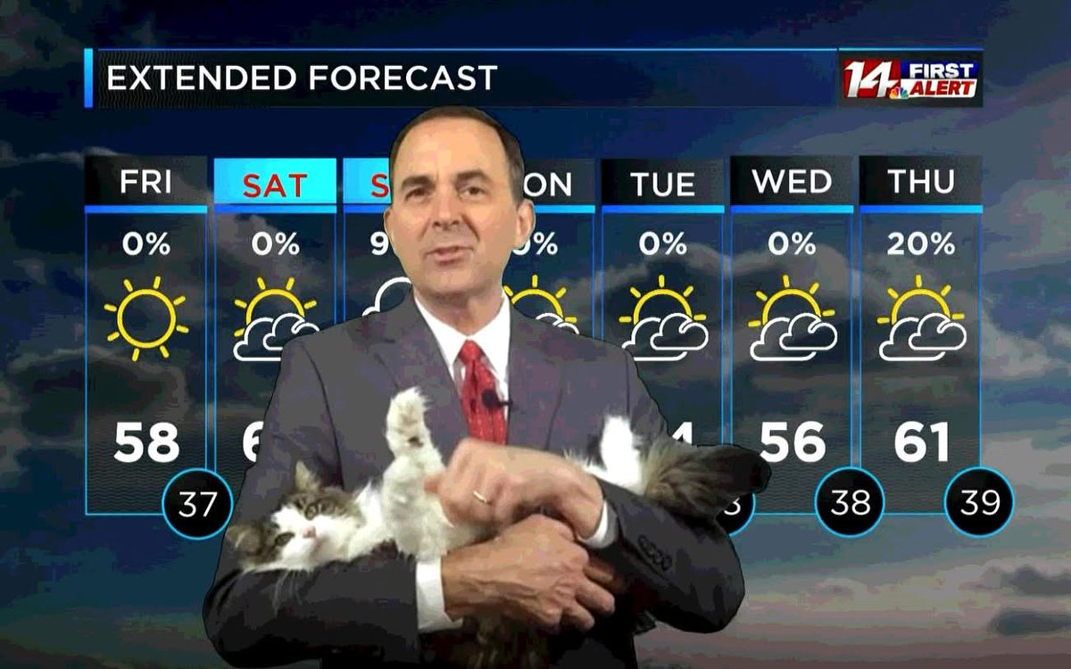 With all the cuts to <a href="/NOAA/">NOAA</a> and the National Weather Service <a href="/NWS/">National Weather Service</a>, it might be time to bring back Betty the weather cat.